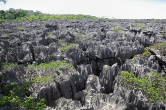 The Village of Ankarana: A Hidden Gem in Northern Madagascar